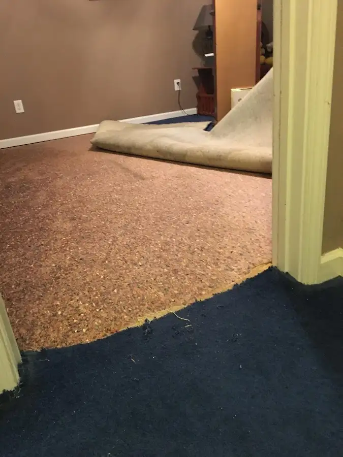 Carpet pad removal revealing water damage during Drying & Dehumidification in New Milford