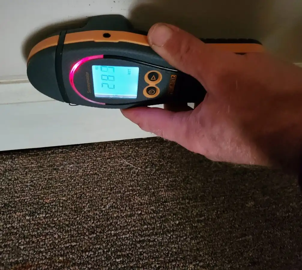 Moisture detection at baseboard during Sewage Cleanup & Sanitation in New Milford